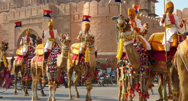 Camel Safari Tour