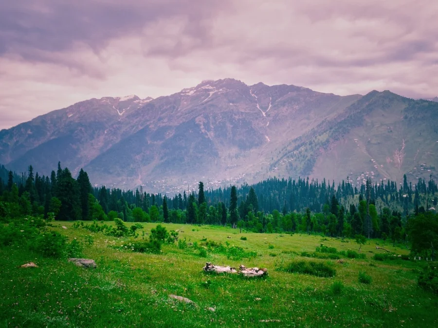 Essence of Kashmir Valley Tour