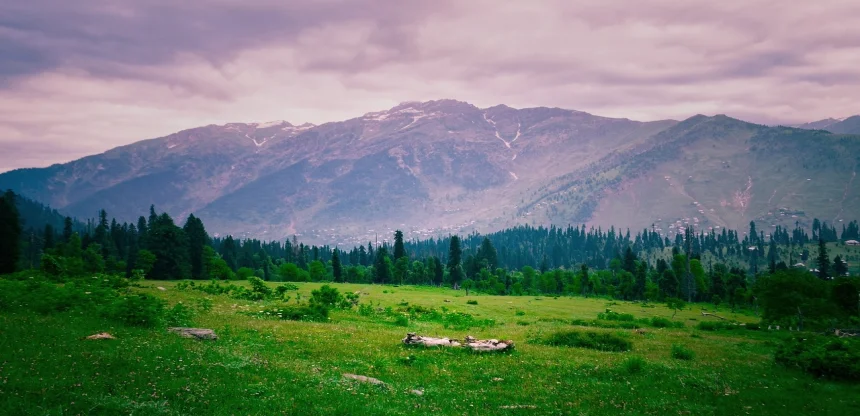 Essence of Kashmir Valley Tour