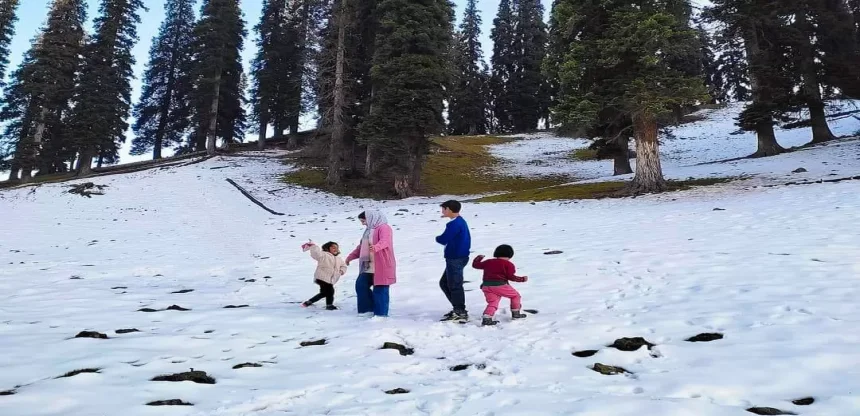 Snow Valley Kashmir