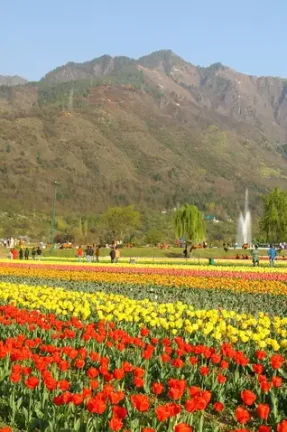 Essence of Kashmir with Gulmarg & Pahalgam