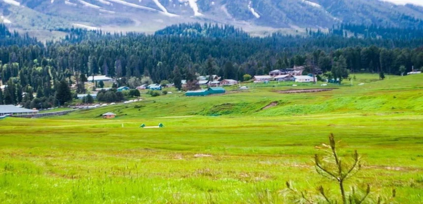Srinagar Serenity Tour