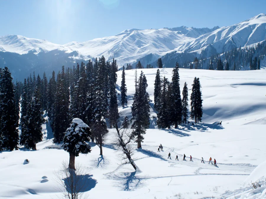 Snowy Kashmir Trail